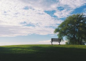 black wooden bench near green leaf trees under white clouds during daytime