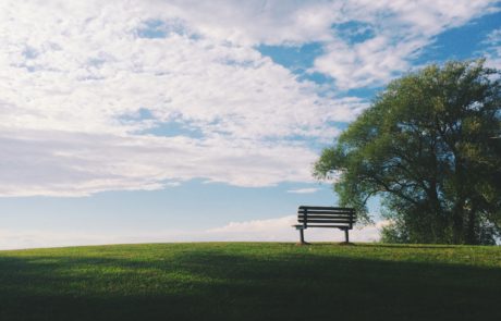 black wooden bench near green leaf trees under white clouds during daytime
