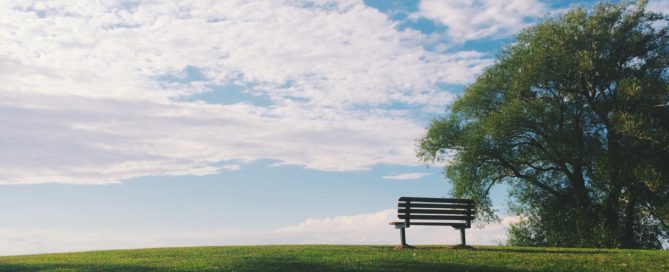 black wooden bench near green leaf trees under white clouds during daytime