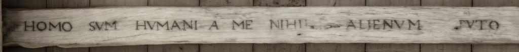 Homo sum, et humani nihil a me alienum puto