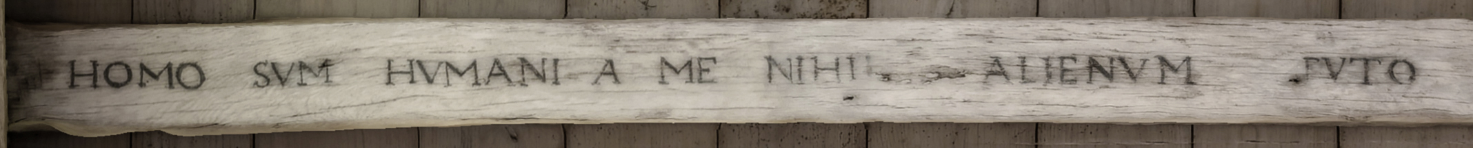 Homo sum, et humani nihil a me alienum puto Homo sum, et humani nihil a me alienum puto